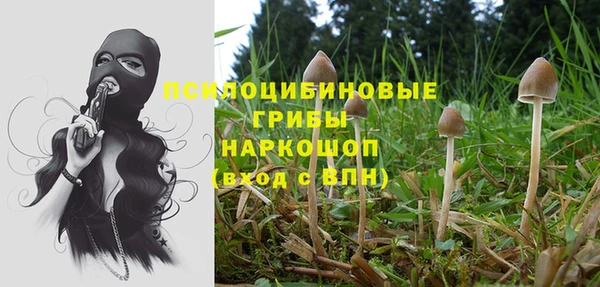 бутират Баксан