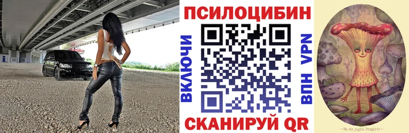 Галлюциногенные грибы Psilocybe  Семилуки 