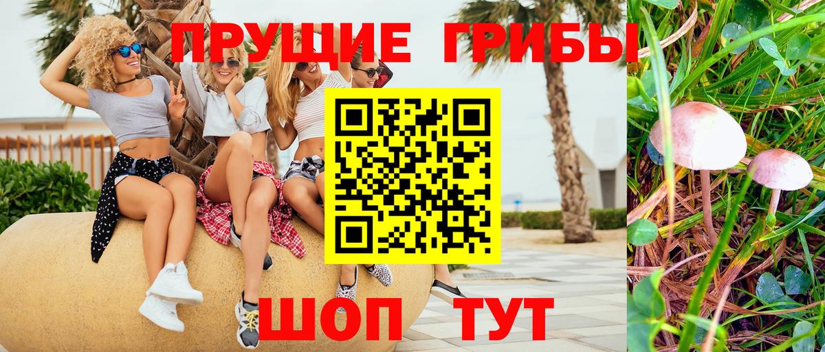 Псилоцибиновые грибы MAGIC MUSHROOMS Семилуки