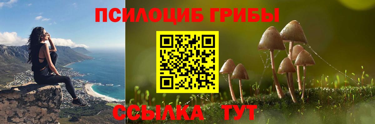 Семилуки  Галлюциногенные грибы GOLDEN TEACHER  Вход с VPN 